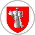 Жодино-2007 (КФК)